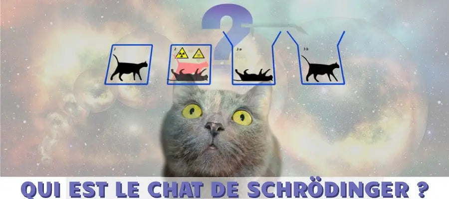 qui est le chat de Schrödinger ?