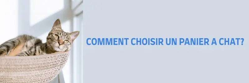 comment choisir un panier à chat