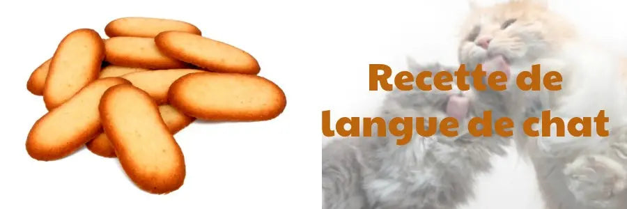 Recette de langue de chat