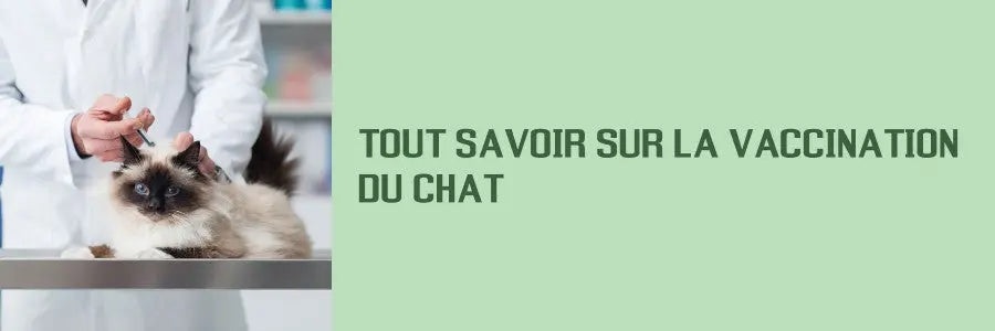 tout savoir sur la vaccination du chat