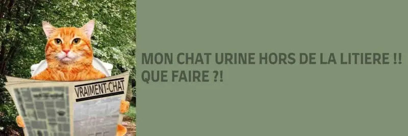 mon chat urine hors de sa litière