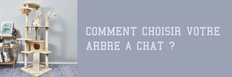 comment choisir un arbre à chat