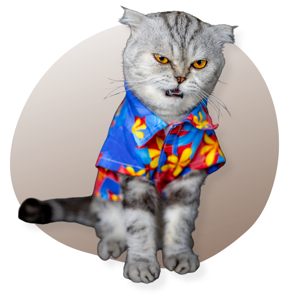 T-Shirt-Chat-Catzilla Vraiment-chat