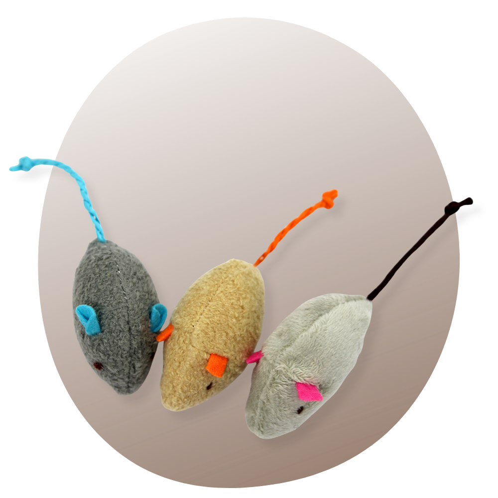 Un chat domestique jouant avec une peluche colorée infusée de catnip, dans un environnement chaleureux et réaliste