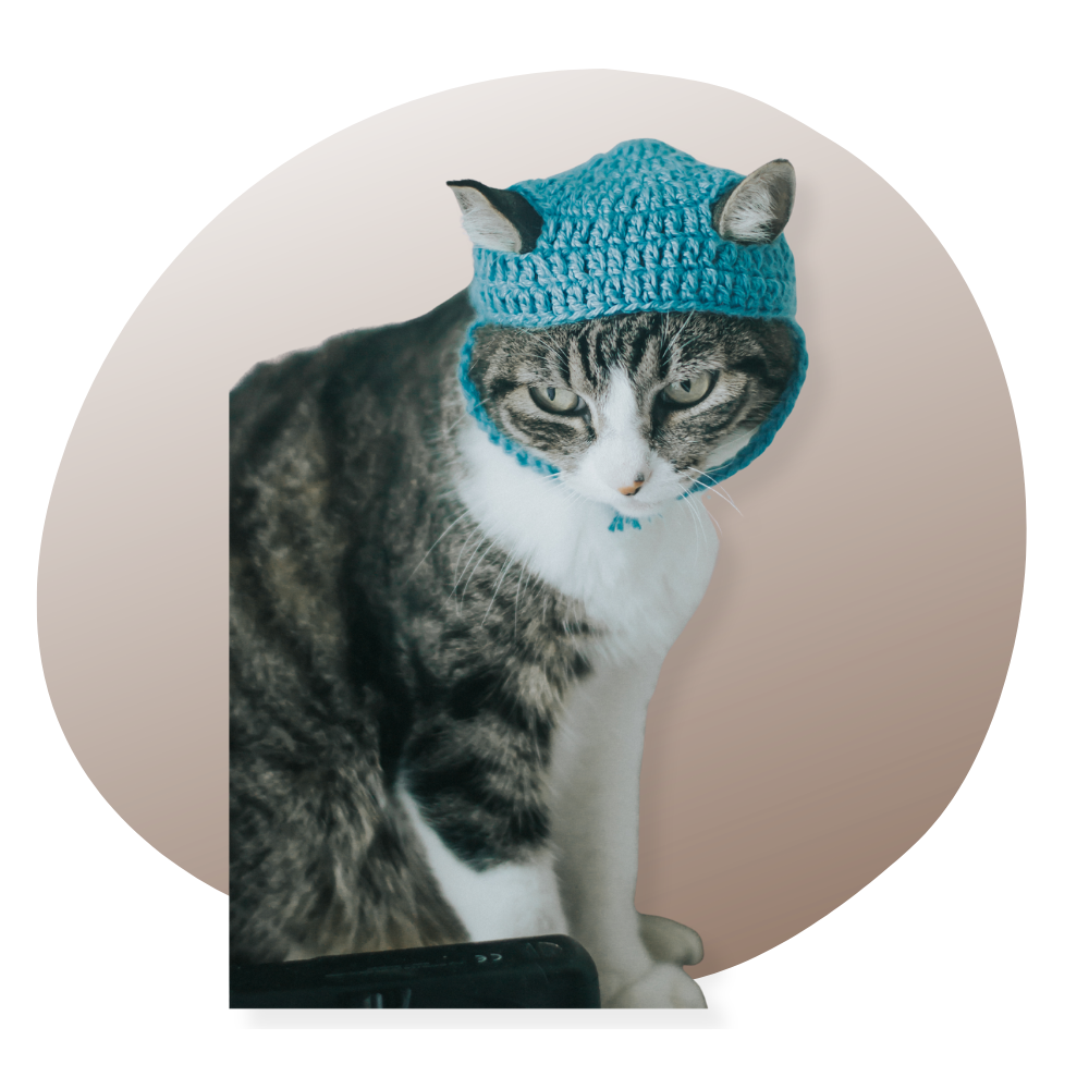 Bannière mettant en scène une femme portant un bonnet au design subtil inspiré d'un chat, avec des yeux et moustaches dessinés, dans un cadre studio