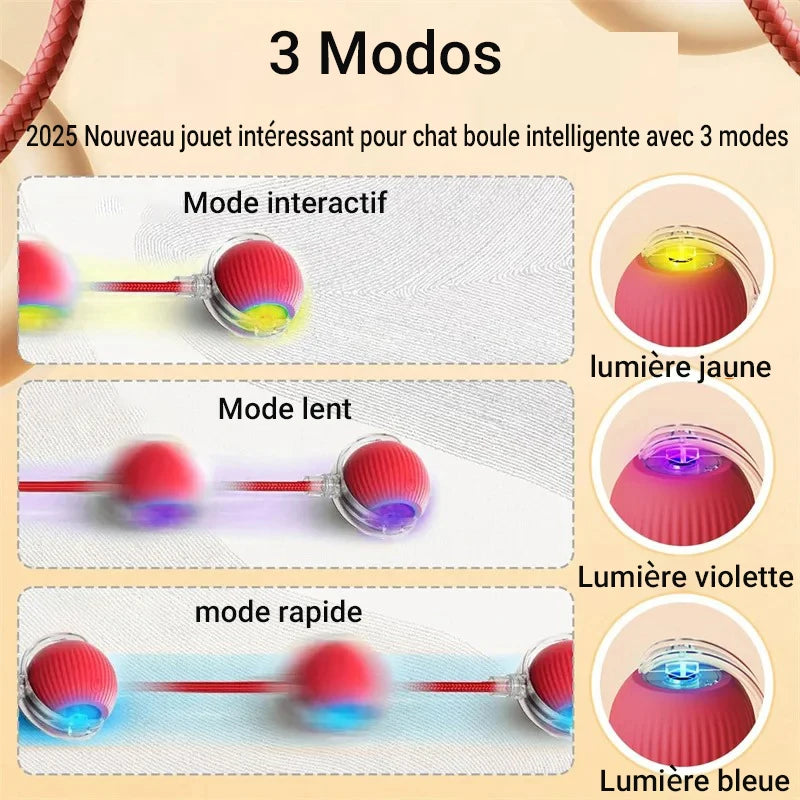 Jouet balle Chat-Trapela