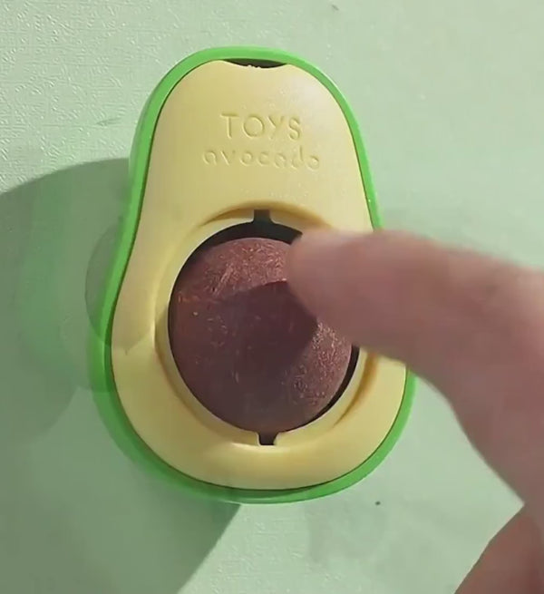 Boule d'herbe à chat Avocat