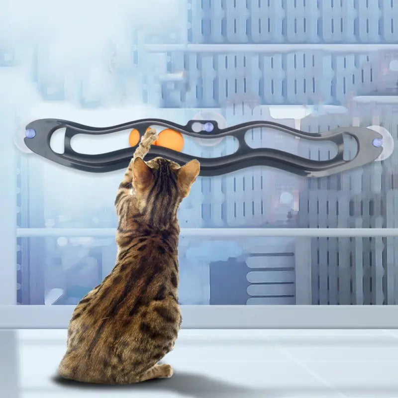 Circuit à Balle pour Chat - Vraiment-chat