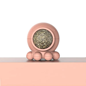 Jouet pour Chat à Lécher - Vraiment-chat