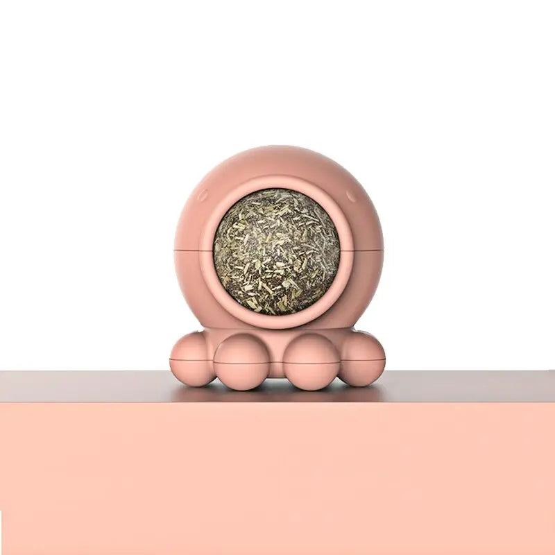 Jouet pour Chat à Lécher - Vraiment-chat