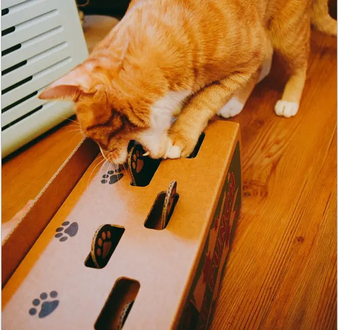 Jeu de Taupe Pour Chat - Vraiment-chat