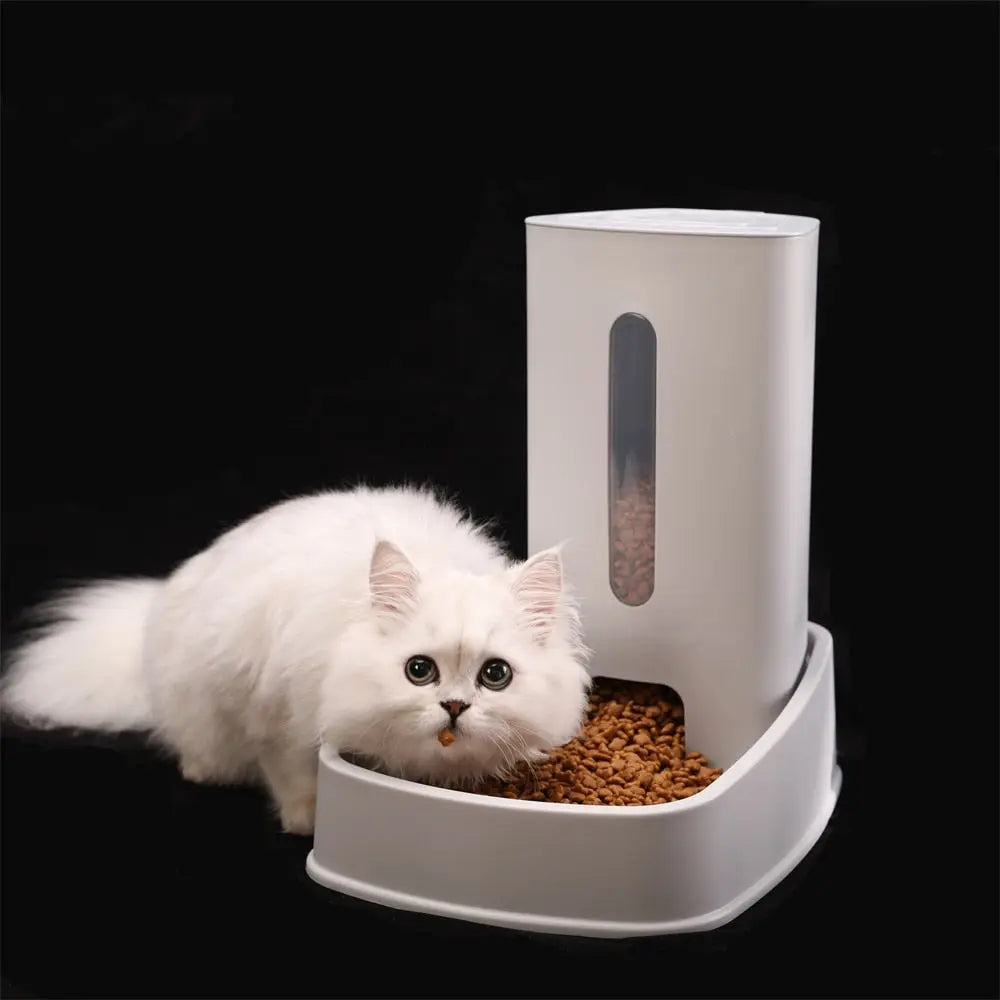 Distributeur à Eau pour Chat Design Blanc - Vraiment-chat