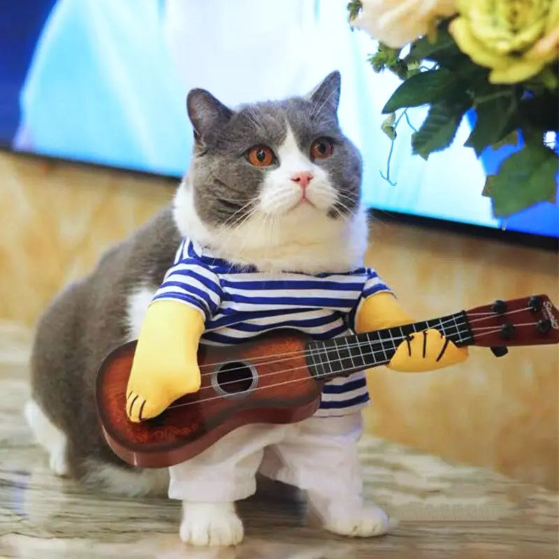 Déguisement pour Chat avec sa Guitare - Vraiment-chat