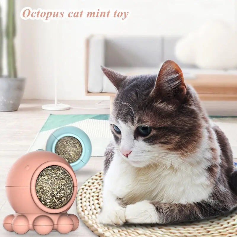 Jouet pour Chat à Lécher - Vraiment-chat