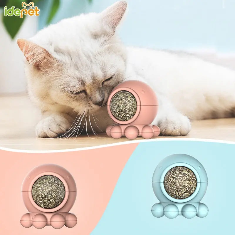 Jouet pour Chat à Lécher - Vraiment-chat