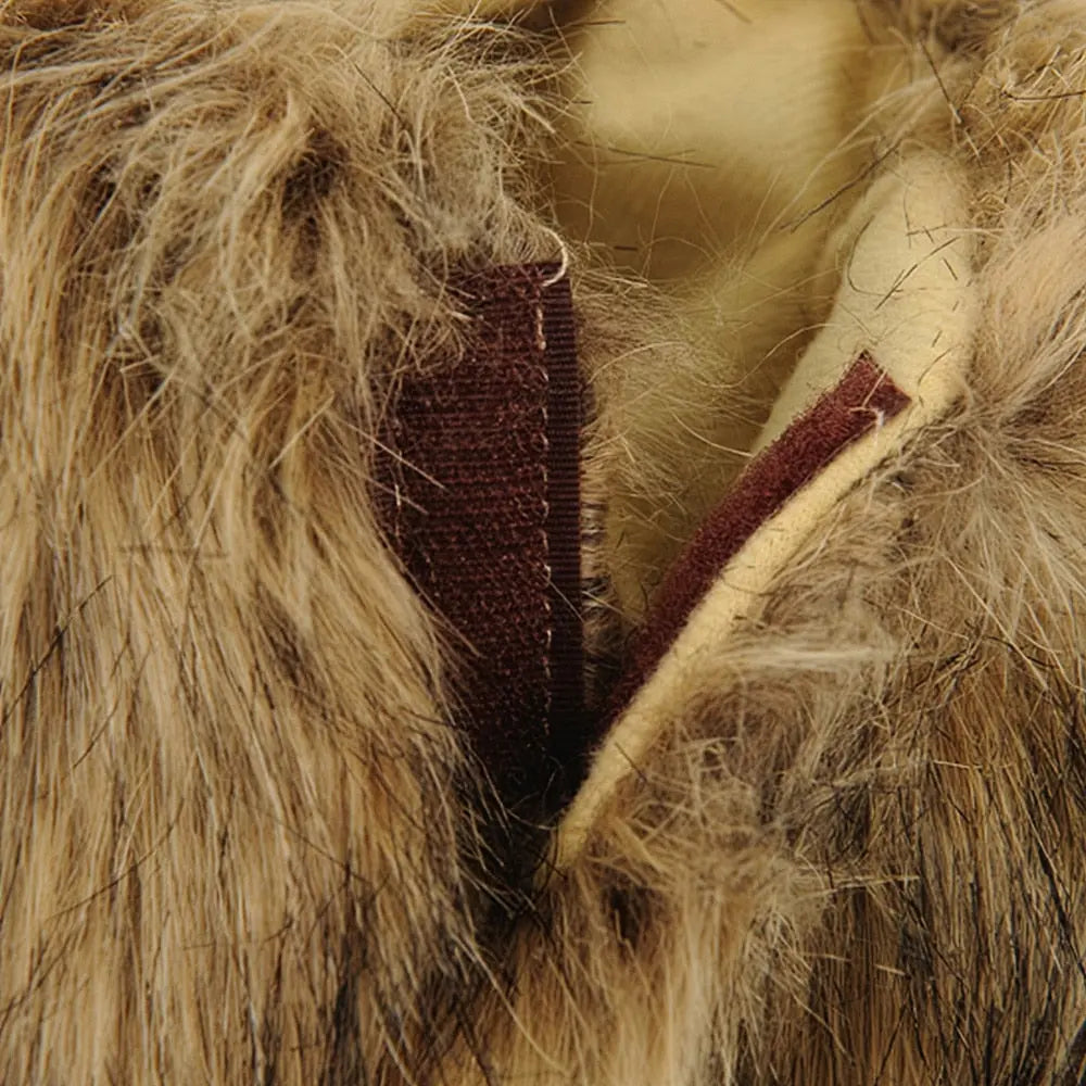 Crinière de lion pour chat - Vraiment-chat