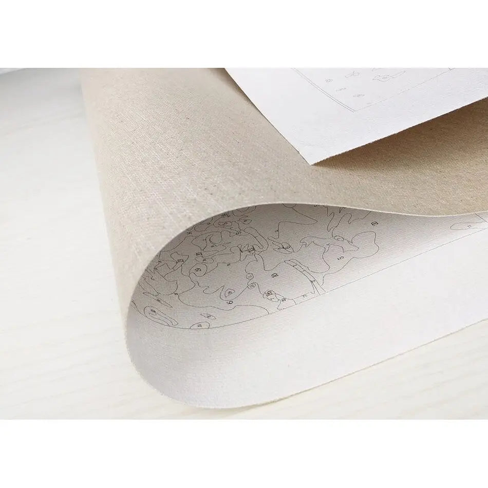 Peinture par Numéro Chat et Journal - Vraiment-chat