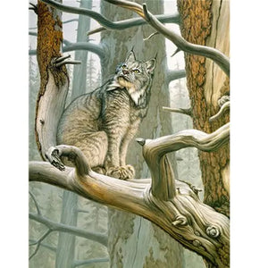 Peinture par numéro Chat Lynx - Vraiment-chat