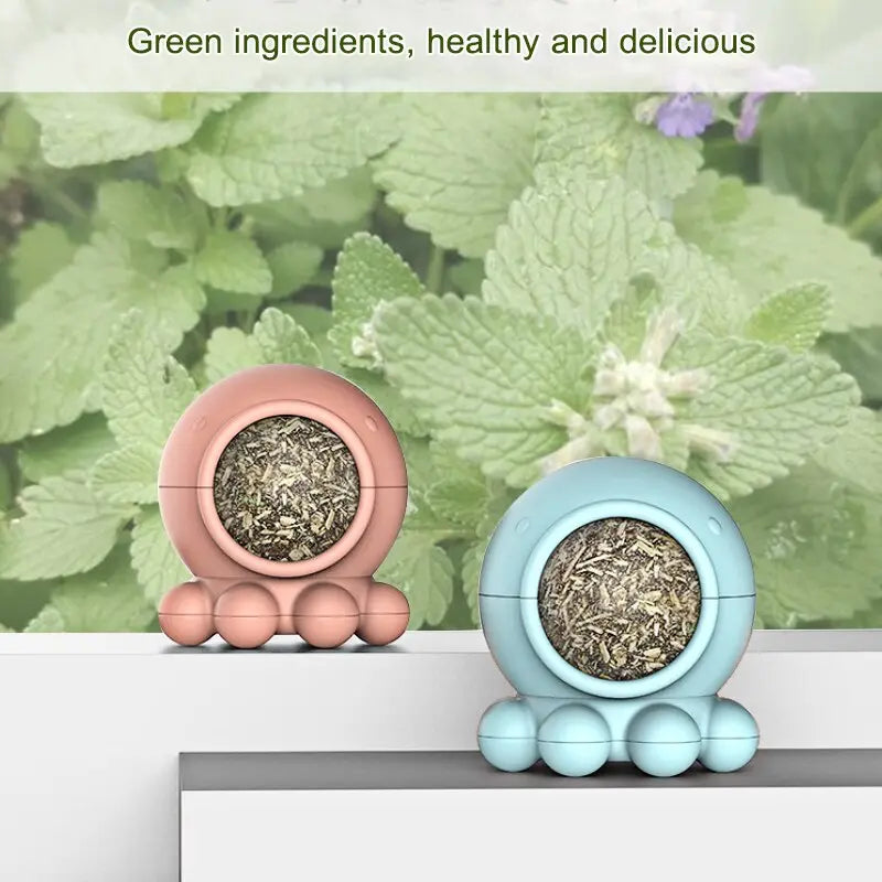 Jouet pour Chat à Lécher - Vraiment-chat