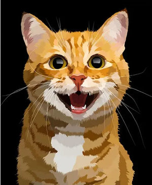 Peinture par Numéro Chat Roux - Vraiment-chat