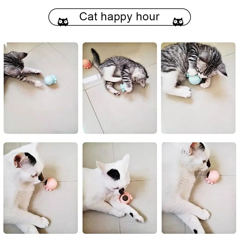 Jouet pour Chat à Lécher - Vraiment-chat