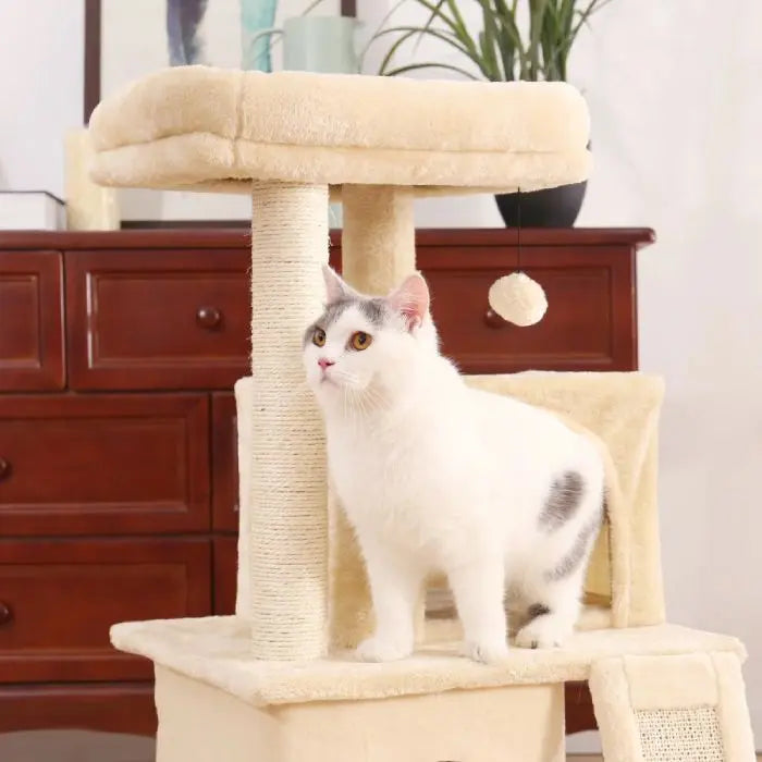 Arbre à Chat Adulte Dominou - Vraiment-chat