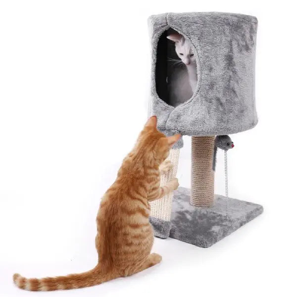 Arbre à chat Maison Douillet - Vraiment-chat