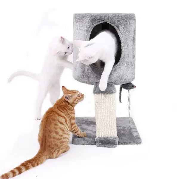 Arbre à chat Maison Douillet - Vraiment-chat