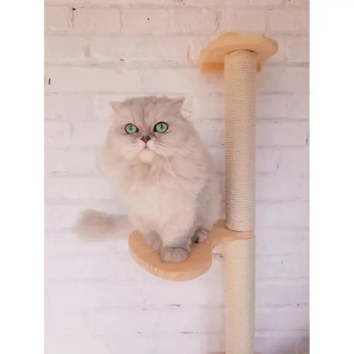 Arbre à chat au Mur Wallou Vraiment-chat