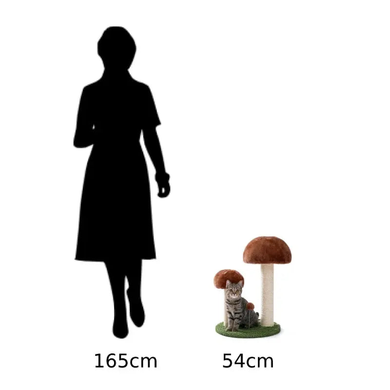 Arbre à Chat Champignon Vraiment-chat