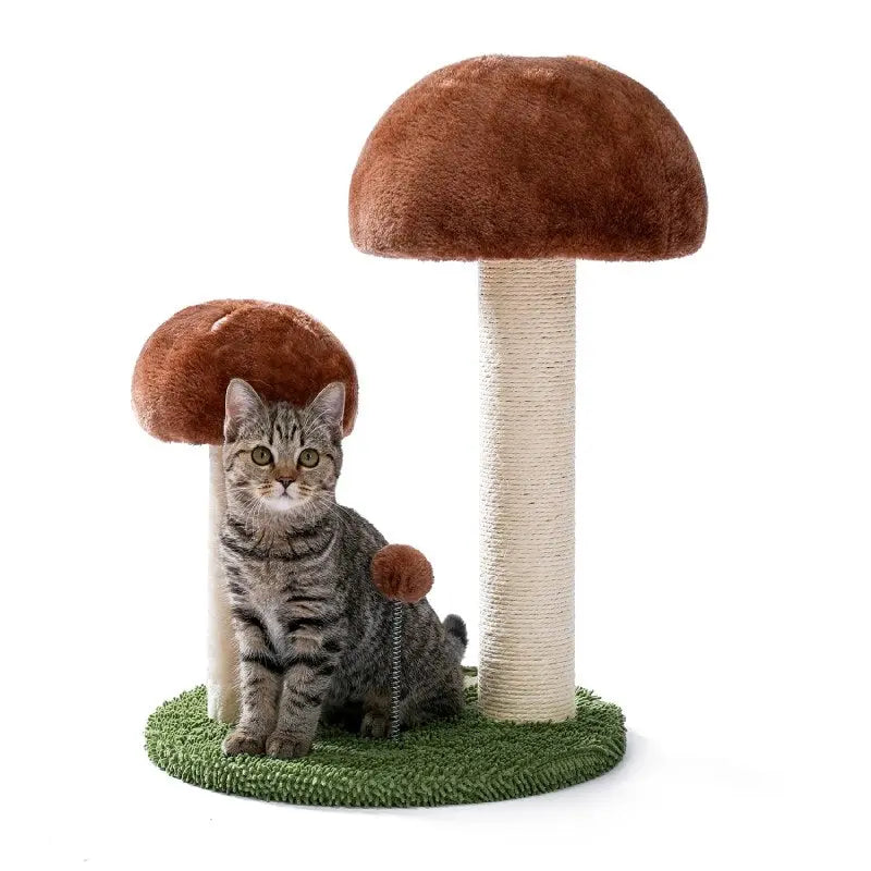 Arbre à Chat Champignon Vraiment-chat