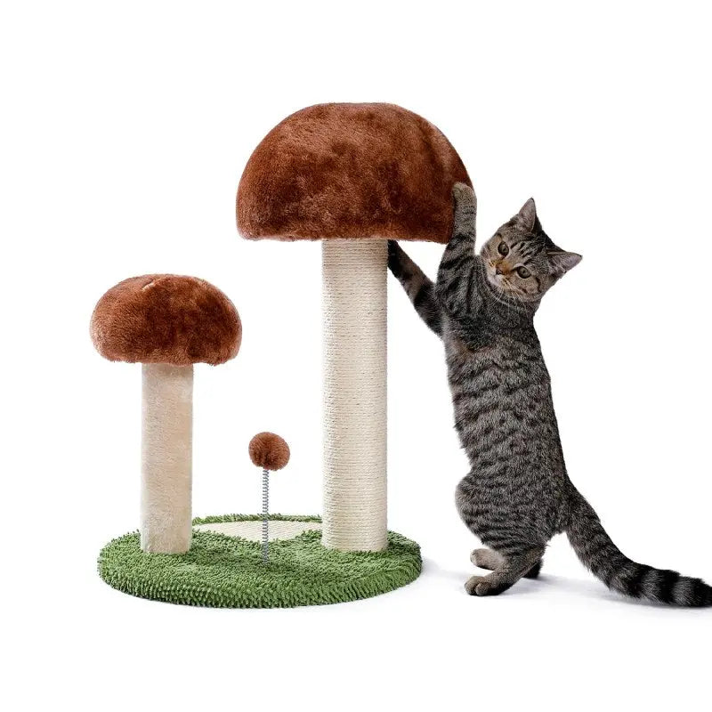 Arbre à Chat Champignon Vraiment-chat