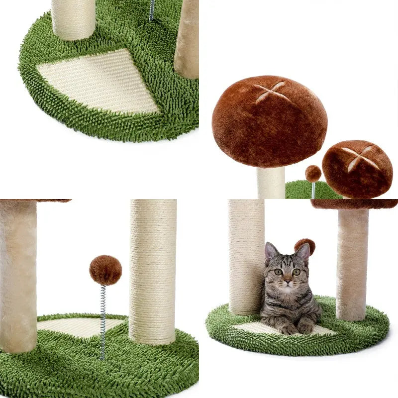 Arbre à Chat Champignon Vraiment-chat