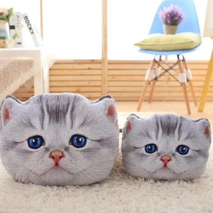 Coussin Chaton British Scottish - Vraiment-chat