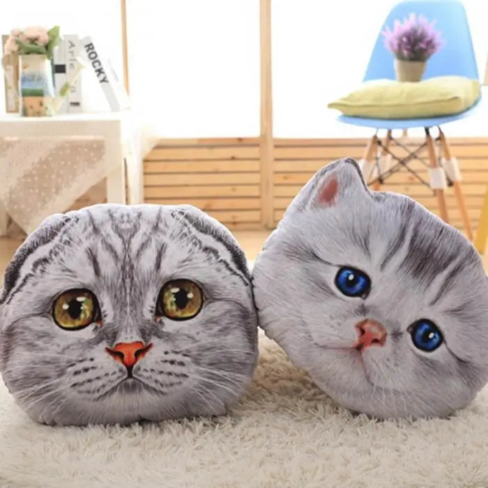 Coussin Chaton British Scottish - Vraiment-chat