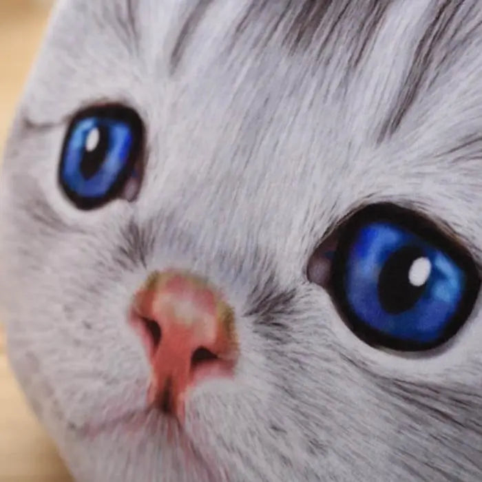 Coussin Chaton British Scottish - Vraiment-chat