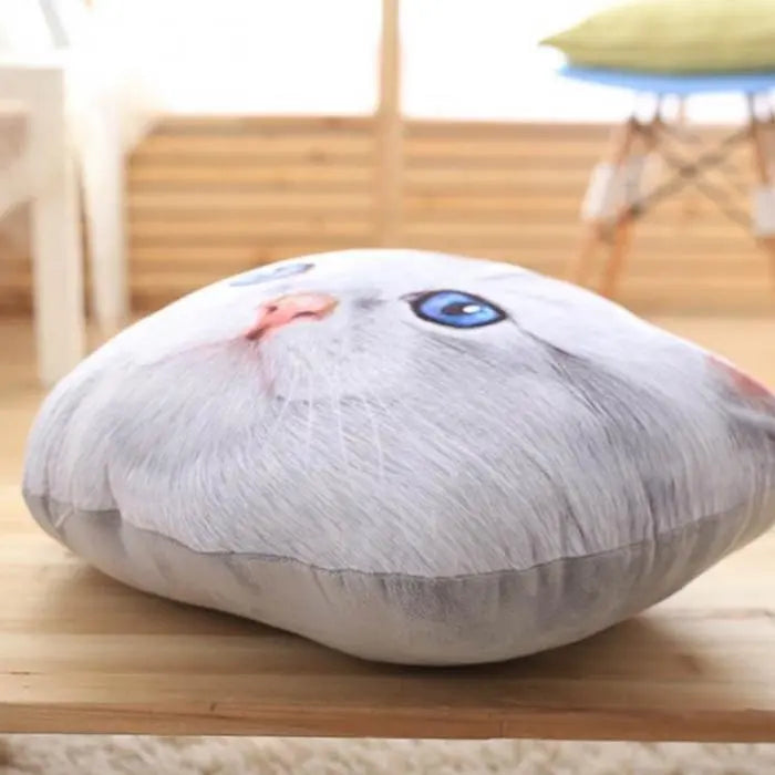 Coussin Chaton British Scottish - Vraiment-chat