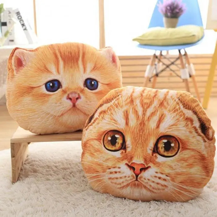 Coussin Chaton British Scottish - Vraiment-chat
