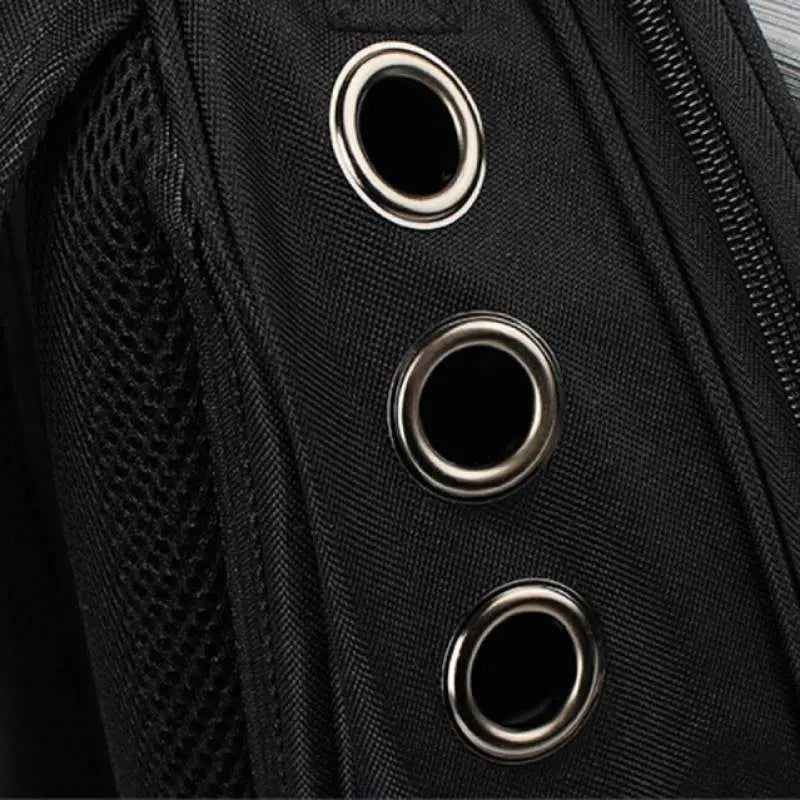 Sac à dos pour Chat en Or - Vraiment-chat