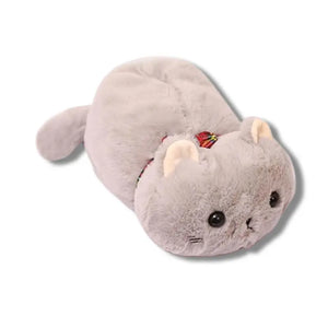 Boite à Mouchoirs - Vraiment-chat