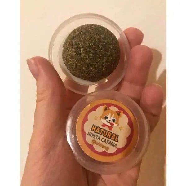 Boîte à Cataire pour Chat - Vraiment-chat