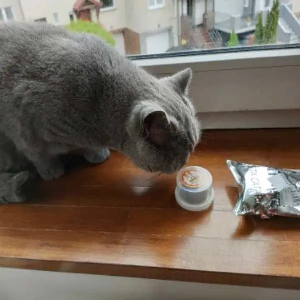 Boîte à Cataire pour Chat - Vraiment-chat