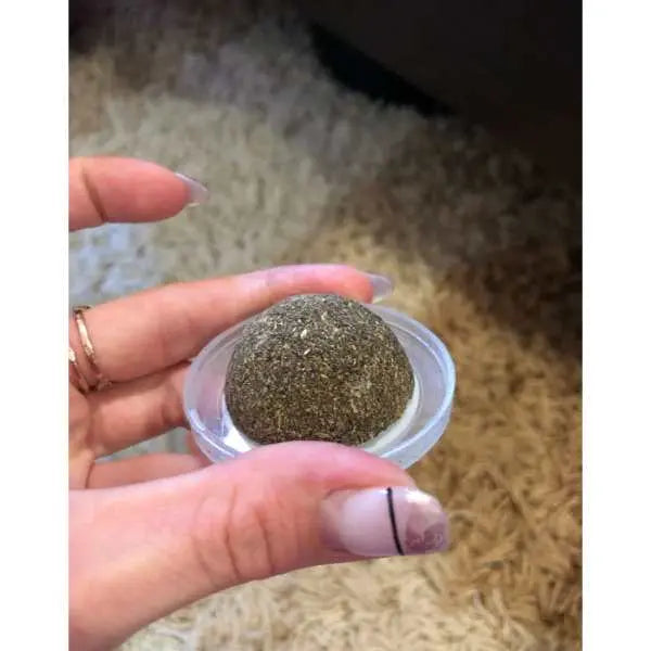 Boîte à Cataire pour Chat - Vraiment-chat