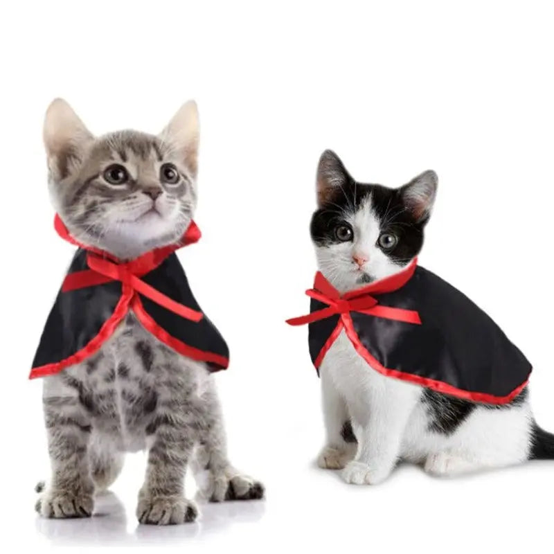 Cape de Vampire pour Chat - Vraiment-chat