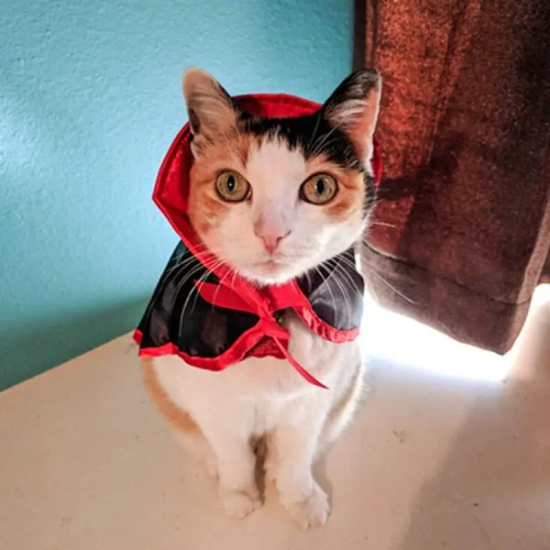 Cape de Vampire pour Chat - Vraiment-chat