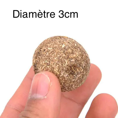 Jouet Chat Catnip goût menthe - Vraiment-chat