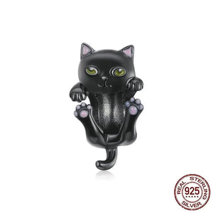 Charm Chat Noir Vraiment-chat