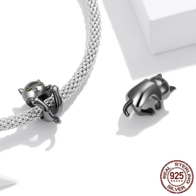 Charm Chat Noir Vraiment-chat