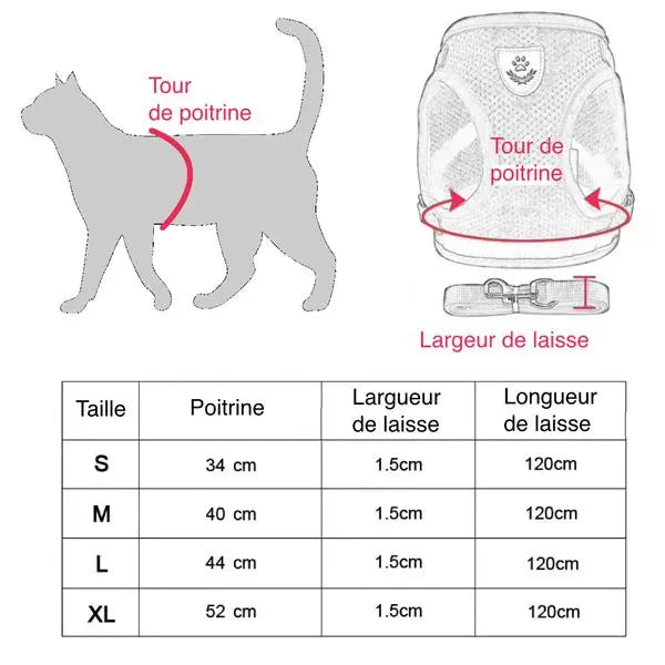 Harnais pour chat avec sa laisse - Vraiment-chat