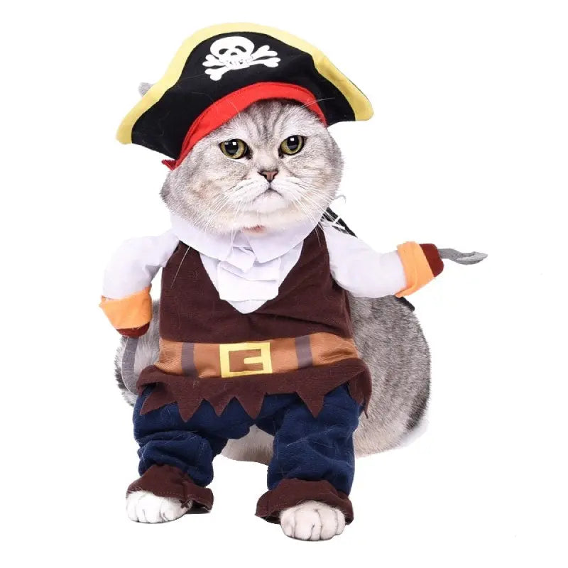 Déguisement chat Pirate - Vraiment-chat